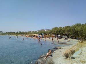 View in Front of Aegean Tinos Greece