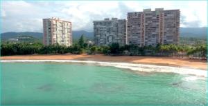 Apartment with Sea View room in Beach apartment with amazing sunrises!