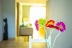 Apartament Apartamenty Rebecca Ustroń Polska