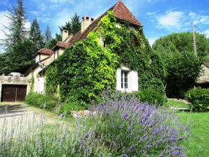 Maisons de vacances Gites Coeur de Lot : photos des chambres