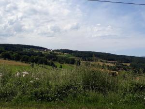 Chalets Cabane : photos des chambres