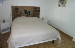 Le Chêne Liège - Maché