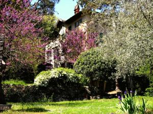 Domaine du Paraïs B&B