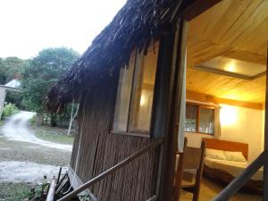 Tres Lagunas, Selva Lacandona