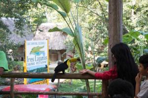 Tres Lagunas, Selva Lacandona