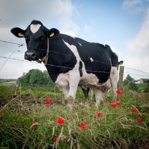 Hotel Restaurant Vijlerhof