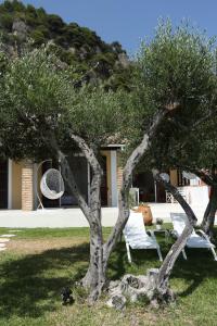 Seafront Beach House With Garden Corfu Greece