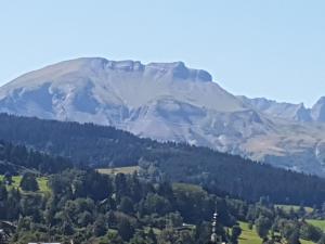 B&B / Chambres d'hotes La ferme du Mont-Blanc : Chambre Double - Vue sur Montagne