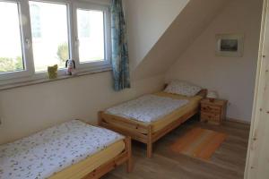 Haus-Eiche