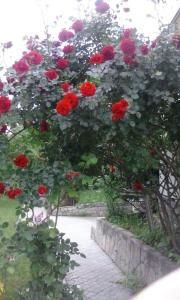 Paradise Hotel
