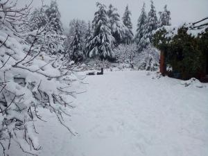 Cedar Lodge By Aahma