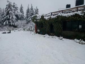 Cedar Lodge By Aahma