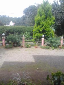 Bluemount
