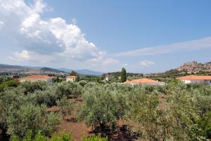 Elea Houses Lesvos Greece