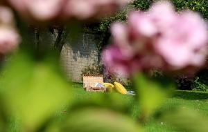 Poundgate Park Cottage