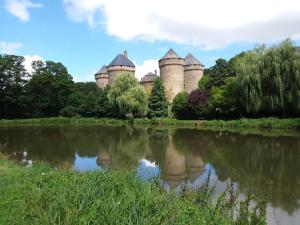 Maisons de vacances L'Orchidee : photos des chambres