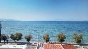 C-view apartments Agistri Greece