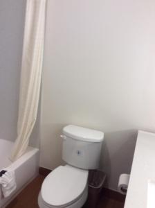 Deluxe Queen Studio with Two Queen Beds and Sofa - Non-Smoking room in Regency Inn & Suites- NW Houston
