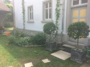 Ferienwohnungen im SCHUL & RATHHAUS Obervolkach