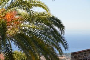 Maisons de vacances maison corse en balagne : photos des chambres