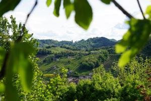 Tenuta Castagnera