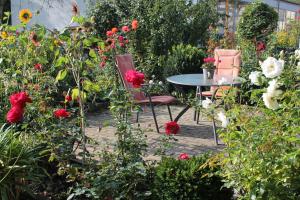 No. 73 - Idylle im Rebenmeer