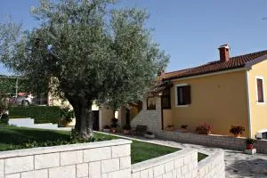 Apartment Magnolia - Mušalež