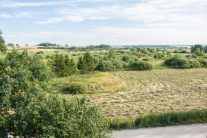 AGROKWATERA STARY DĄB