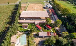 Maisons de vacances Les Gites De La Serre : photos des chambres