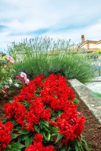 Apartments Hortensia 