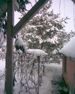 Árnyas Vendégház Hajdúszoboszló