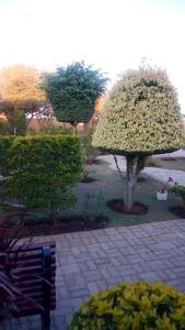 Thulamela Guest House Mahalapye