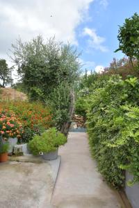 Appartements Luccisano : photos des chambres