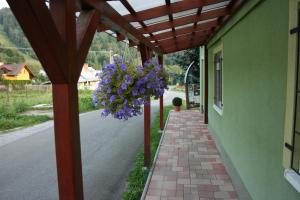 Dolinka Holiday Home