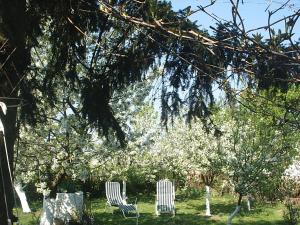 Árnyas Vendégház Hajdúszoboszló