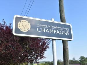 Maisons de vacances Romantic g te in quiet village for Champagne lovers : photos des chambres