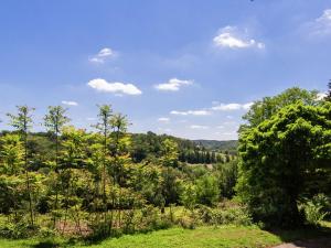 Maisons de vacances Cosy Holiday Home in Bourgnac with Private Pool : photos des chambres