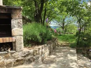 Stunning, detached holiday home on a hill - Burzet