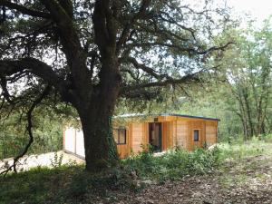 Maisons de vacances Gites du Chene Vert : photos des chambres