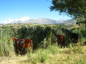 Campings Camping La Motte Flottante : photos des chambres