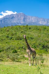 Hillside Retreat – Africa Amini Life