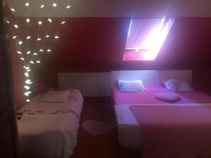 Pensiune familială Vid&eacute;ki sanzon Bichișciaba Ungaria