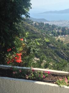 The 4 Pilion Seasons Pelion Greece