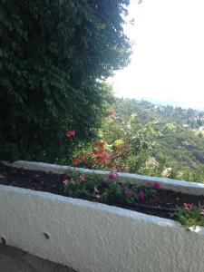 The 4 Pilion Seasons Pelion Greece