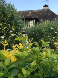 Le petit pressoir photo 9