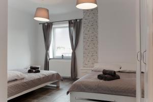 Apartamenty w Starym Browarze 3