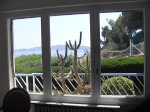 Appartements Appartement Residence le Cap Toulon : photos des chambres