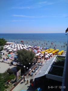 Just On The Beach