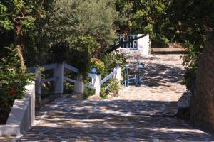 Blue Horizon Samos Greece