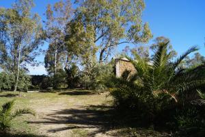 Casa Su Catreathu img20